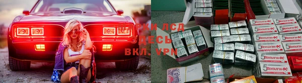 ГАЛЛЮЦИНОГЕННЫЕ ГРИБЫ Алексеевка