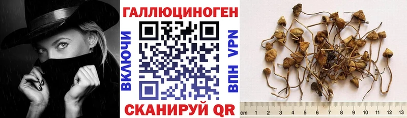 hydra зеркало  Мыски  Галлюциногенные грибы GOLDEN TEACHER 