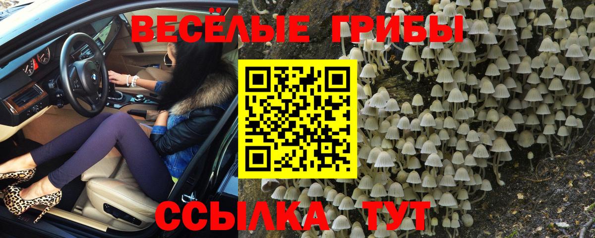 Мыски  Псилоцибиновые грибы Magic Shrooms  Вход с VPN 