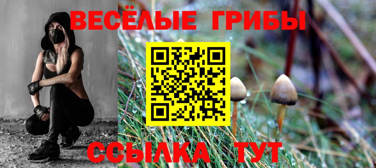 Псилоцибиновые грибы мицелий Мыски